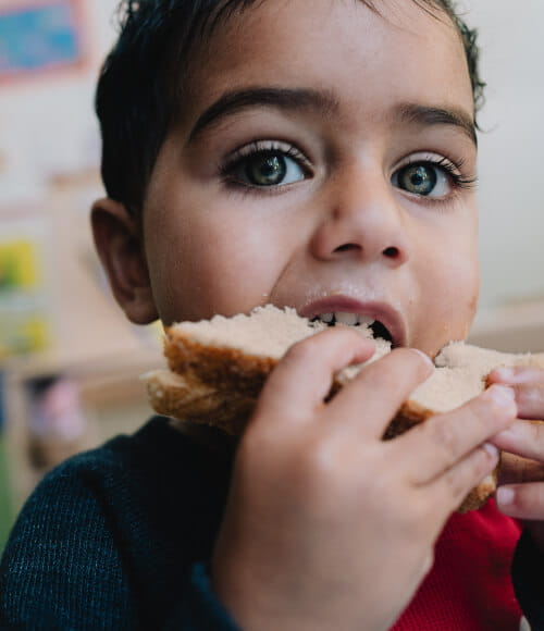 boy eats sandwich